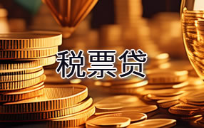 塔城税票贷